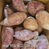 농장직송 첫수확 해남 꿀고구마 중 3kg