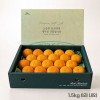 [제주하우스] 황금향 선물세트 1.5kg 8과 내외 (선물포장)