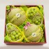 [썬리치] 샤인 메론 선물세트