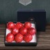 [달옥농산] 프리미엄 사과선물세트 3kg 대과(9개 내외)