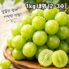 [경매선별농산물] 샤인머스켓 (경상도 김천) 1kg 내외 (2~3수)