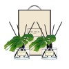 시즈넬 플라워 디퓨저 200ml 더블 선물세트 몬스테라