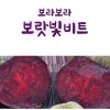 국산 생비트 10kg(특품/크기혼합)