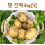 신선 감자 3kg(대)