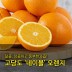[수입과일] 호주산 고당도 네이블 오렌지 14-16과 3kg (중과)