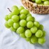 달옥농산 노지 선별 샤인머스켓 (14~20브릭스) 총 2kg (3~4수)
