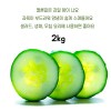 국내산 취청오이 2kg(정품 6~10개)