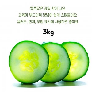 국내산 취청오이 3kg(정품 9~15개)