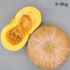 잘 익은 국산 늙은호박 3~4kg (특품)