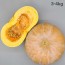 잘 익은 국산 늙은호박 3~4kg (특품)