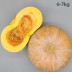 잘 익은 국산 늙은호박 6~7kg (특품)