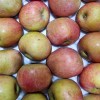 가정용 저탄소 홍로 사과 중대과 4kg(20과 내외)