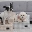 [개과천선] 코쿨 강아지 계단 논슬립 스텝 고양이 침대 소파 2단