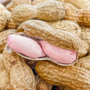 [청년농가] 예천 햇 황토땅콩 1kg