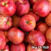 26년 햇 빨간사과 홍로 사과 못난이 소과 2kg 13-15과