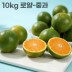 26년 제주직송 극조생 노지감귤 10kg 로얄-중과