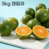 26년 제주직송 극조생 노지감귤 3kg 랜덤과