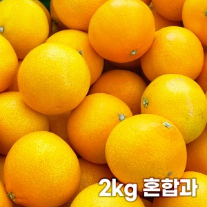 26년 제주직송 노란빛 제주 못난이 황금향 2kg 혼합과