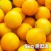 26년 제주직송 노란빛 제주 못난이 황금향 5kg 혼합과