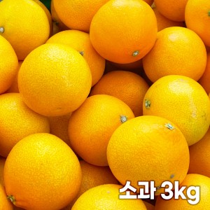 26년 제주직송 노란빛 제주 하우스 황금향 소과 3kg