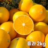 26년 제주직송 노란빛 제주 하우스 황금향 중과 2kg