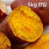 해남 직송 호박고구마 5kg 한입