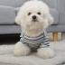 [개과천선] 퍼실 강아지 방석 애견 고급 꿀잠 사각 침대 고양이 포근 쿠션 사계절 소형