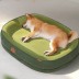 [개과천선] 블리스터 강아지 방석 고양이 쿠션 멜팅그레이 M