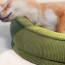 [개과천선] 블리스터 강아지 방석 고양이 쿠션 멜팅초코 L