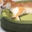 [개과천선] 블리스터 강아지 방석 고양이 쿠션 멜팅그레이 XL