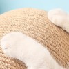 [개과천선] 어몽드 스윈공 고양이 스크래쳐 회전 볼 장난감 반려묘 대형