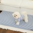 [개과천선] 리비아 침대 강아지 방석 고양이 여름용 특대형
