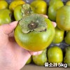 태추단감 가정용 중소과 5kg (31-41과 내외)