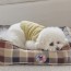 [개과천선] 로렌트 강아지 쿠션 고양이 방석 사각 대형