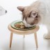 [개과천선] 우든볼 세라믹 식기 강아지 식기 고양이 반려동물 그릇 2구