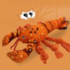[개과천선] 가재 삑삑이 노즈워크 장난감