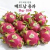 [수입과일] 부드러운 단맛 베트남 용과 5kg 10과