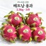 [수입과일] 부드러운 단맛 베트남 용과 2.5kg 5과