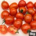 대추방울토마토 5kg(1~2번과)