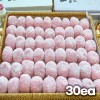 [소담] 코코넛가루 딸기 팥찹쌀떡 60g*30개 (1.8kg)