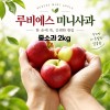 경북 루비에스 미니사과 중소과 2kg (40g-50g 내외)