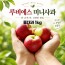 경북 루비에스 미니사과 중대과 1kg (50g-60g 내외) )