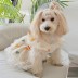 [개과천선] 큐피트 애견 강아지 원피스 면사 옷 올인원 고양이 XS~M