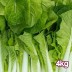 손질한 국산 얼갈이 배추 특품 4kg 내외