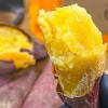 [청년농가] 큐어링숙성 햇 베니하루카 꿀고구마 중상) 햇 베니하루카 고구마 3kg