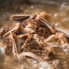 [찬스푸드클럽] 진하게 우려낸 푸짐한 참 갈비탕 500g 1팩