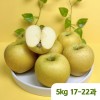 [햇땅] 시나노골드 정품 5kg 17-22과