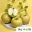 [햇땅] 시나노골드 정품 5kg 17-22과