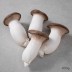 [경매선별농산물] 새송이버섯 400G(뿌리미손질)