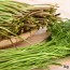 [경매선별농산물] 돌미나리 1KG(특)